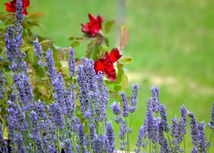 Brizi 10 アパートホテル